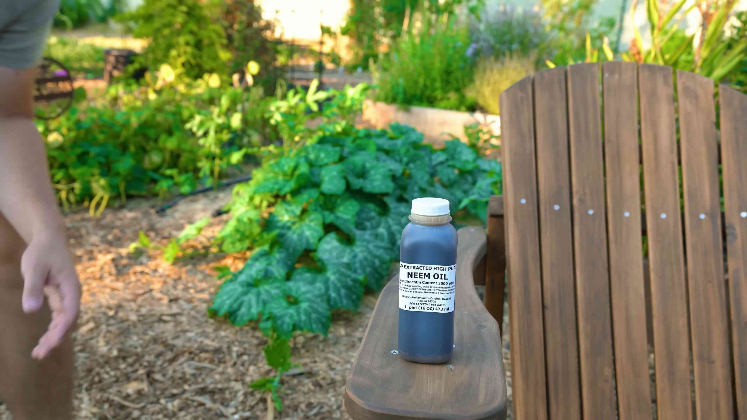 Neemöl Schädlingsbekämpfung Garten
